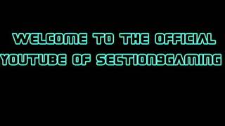 Section 9 Gaming intro