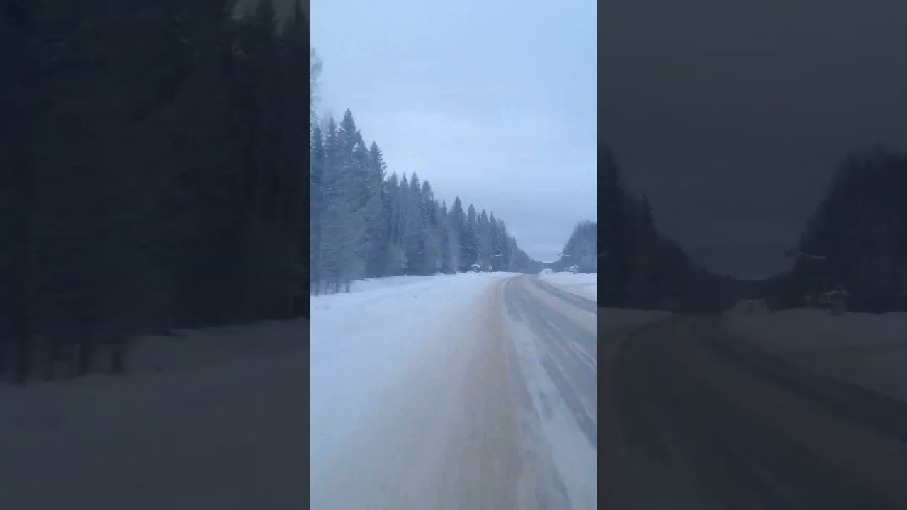 Поездка на Пазике от заднего окна. 
