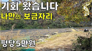 타인 간섭없는 국유림에 둘러싸인 도로 끝~오직 나만의 보금자리 밭 664평 평당5만원[땅지통]