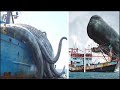Ballenas y Criaturas Marinas Gigantes Atactando Embarcaciones Captadas En VIDEO