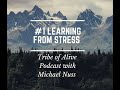 1 learning from stress in a wim hof retreat  podcast with maximilian freiler and rachel babaganov