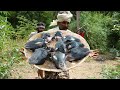 primitive hunter=  GOAT HEAD RECIPE | Goat Head Curry/ 2 man Hunting ,cooking in village man