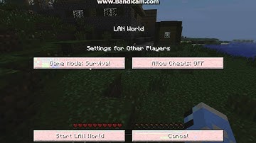 How to host a minecraft lan server 1.3.1