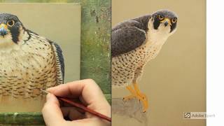 A Collection Of Peregrine Falcon Paintings My Wildlife Art Robert E Fuller