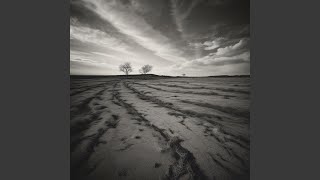 They're Gonna Explode