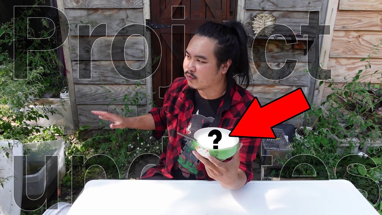 Lets Eat BATS! Project UPDATES! Shed Clean Up - Clean Cook Turtle - Meat Preservation