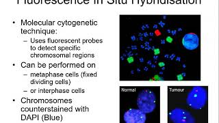 Molecular cancer subtyping 1 FISH