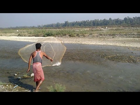 🐟🐠जाल से मछली पकड़ने का तरीका || Net fishing in river ||machli pakadne ka tarika