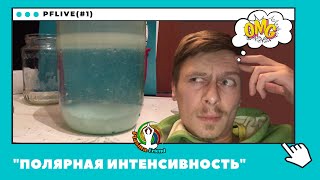 PFLIVE(#1). Полярная интенсивность. (Плазма, Кубок Жизни 1, Технологии M. Keshe).