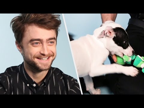 Daniel Radcliffe Plays With Puppies While Answering Fan Questions