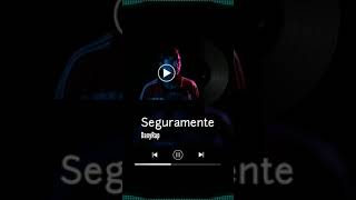 Miniatura del video "Seguramente - Danyrap"