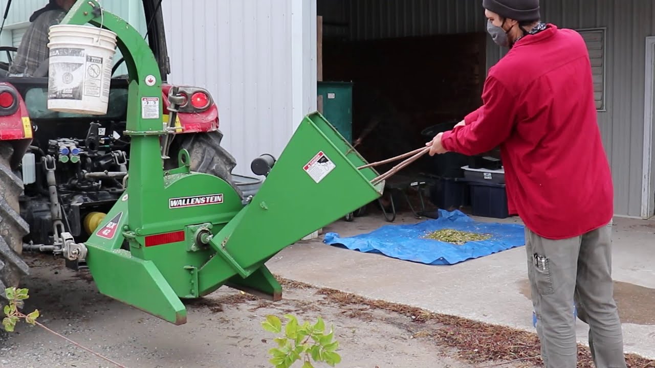 Seth Chrisman  | MU 2020 Elderberry Fodder Silage