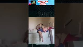 Download Lagu 5 alasan kucing memijat majikannya #meme #experiment #shortsviral #shortvideos #shorts MP3 Download Lagu 5 alasan kucing memijat majikannya #meme #experiment #shortsviral #shortvideos #shorts MP3