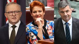 One Nation ‘playing a good game’ against major political parties