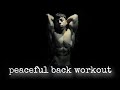 back n biceps