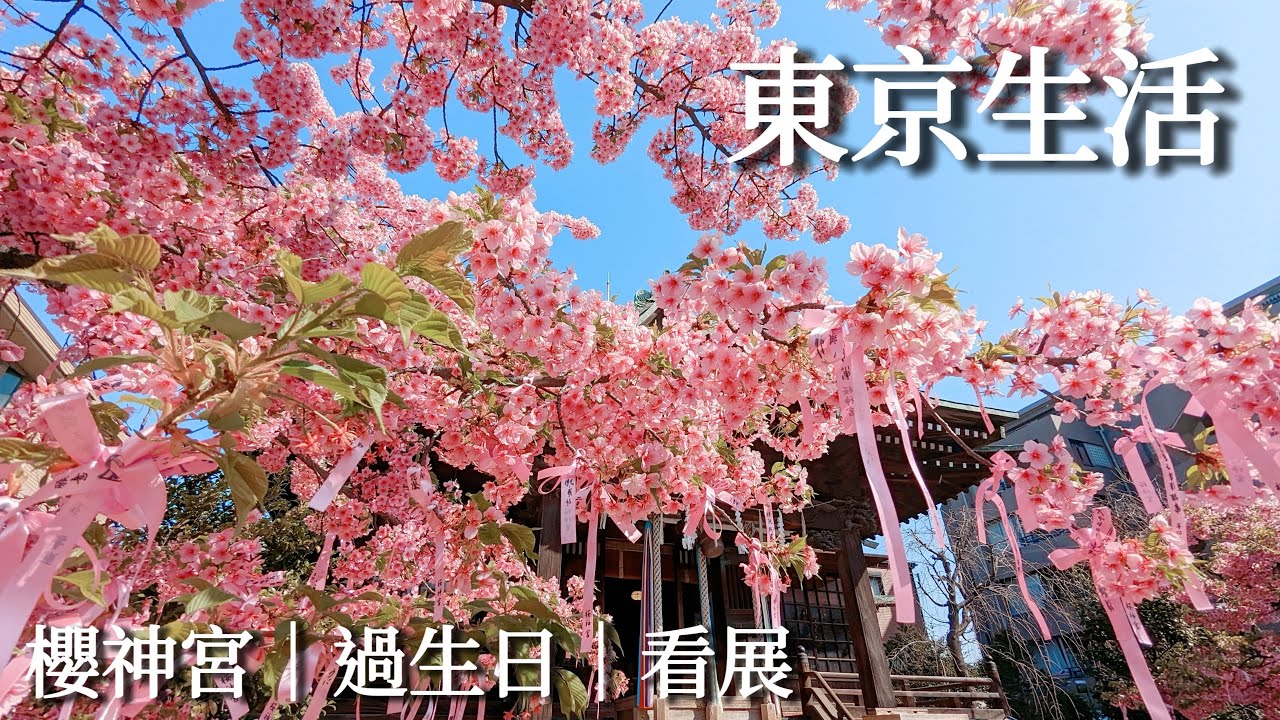 東京｜一個人過生日、櫻神宮粉嫩櫻花、絕品厚鬆餅、京都小川珈琲、原宿IKEA、美術館散步、六本木羅浮宮展、青山時尚花店、今年第一次賞櫻🌸｜Satori日本生活、日本旅遊、日本旅行