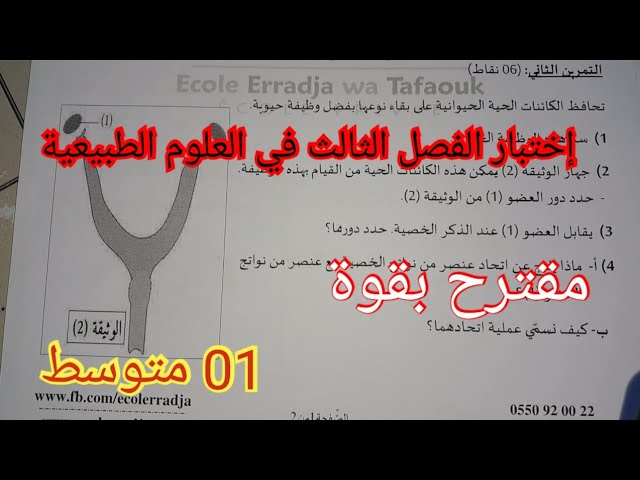 إختبار الفصل الثالث في العلوم الطبيعية السنة الأولى متوسط 2024