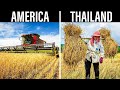 Different types of farming can vary from country to country heres how
