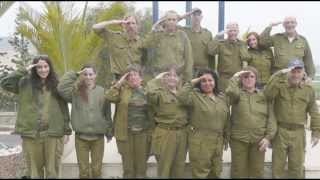 Vfi Plus Introduction