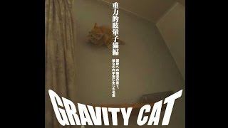 PS4ゲーム「GRAVITY DAZE２」PR映像（ショート）
