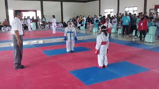 Oke Team Cup Ii