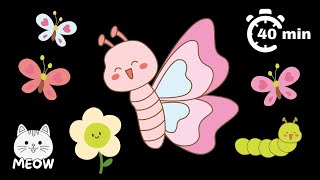 Happy Butterfly Dance | High Contrast Baby Sensory Video