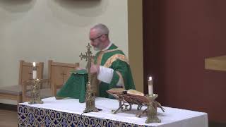 Mass of June 18, 2026: Thursday of the Eleventh Week in Ordinary Time