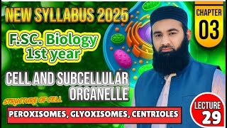 Famous Peroxisomes, Glyoxisomes, cytoskeleton | Chapter 3: F.Sc. 1st Year Biology | Lec#29 Net Worth