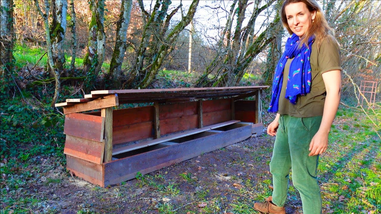 WOODSHED BUILD Timelapse Cabin Build France 35 YouTube