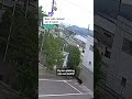 Beer valt mensen aan in Japan