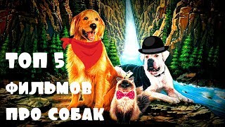 САМЫЕ ЛУЧШИЕ ФИЛЬМЫ ПРО СОБАК | ТОП 5 ФИЛЬМОВ ПРО СОБАК