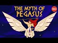 Bellerophon and Pegasus: Mythology Questions