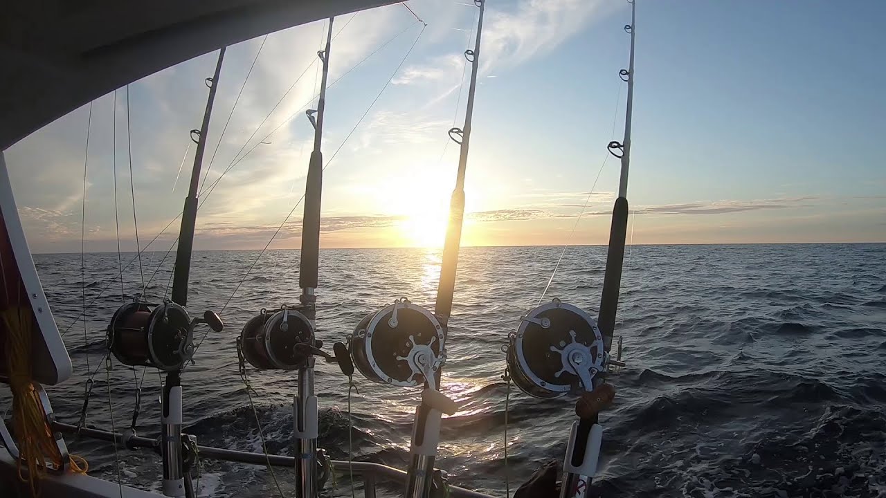 Pêche du thons blancs au large d’Arcachon 3 (2020)