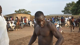 Kalli Wasan Kokawa,Gasar Cin Dirkeken Rago