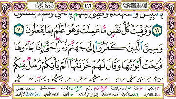 القرآن الكريم مقسم صفحات | الشيخ حاتم فريد | سورة الزمر | صفحة 466 مكتوبة | مصحف التجويد الملون