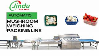 This Precision Weighing System Is Changing Mushroom Farm Profits