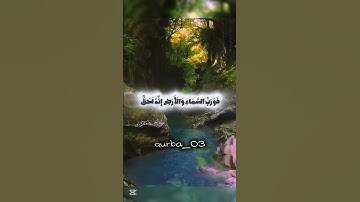 #فارس_عباد #قران #تلاوة #اسلاميات #القران_الكريم #Quran #Islam #ذكر_الله