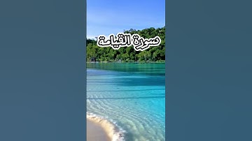 تلاوة عذبة لسورة القيامة #قران_كريم #explore #follow #fypシ #تلاوات