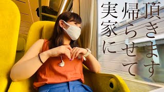 【西武特急ラビュー】黄色過ぎる匠の車両
