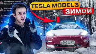 видео: Тесла ЗИМОЙ. Сколько держит заряд? Делюсь опытом картинка: Тесла ЗИМОЙ. Сколько держит заряд? Делюсь опытом