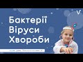 Бактерії. Віруси. Хвороби | ЯК ГОВОРИТИ ПРО ВАКЦИНАЦІЮ В НУШ?