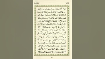 الوجه 81 من القرآن مكرر ١٠ مرات مع الآيات | سورة النساء | الشيخ عبد الباسط عبد الصمد