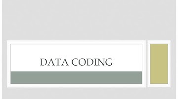 Day 11   Data Coding and Editing video