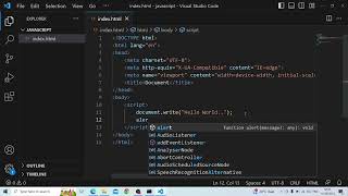 How to write javascript in HTML document using script tag