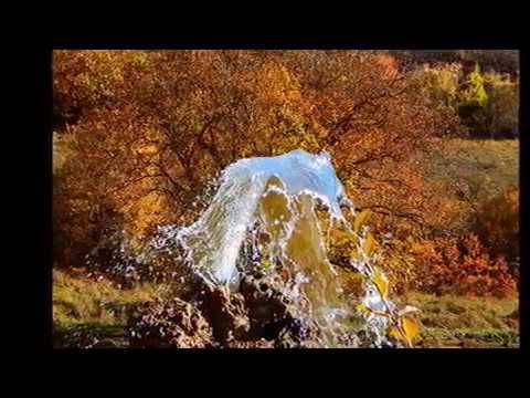 Video: Sumakh - Svijetle Boje Jeseni