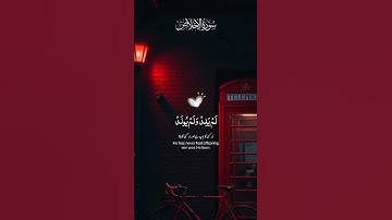 سورة الإخلاص بصوت عالي ماشاء الله #القرآن_الكريم #المصحف