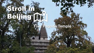 Stroll In Beijingfive Pagoda Temple