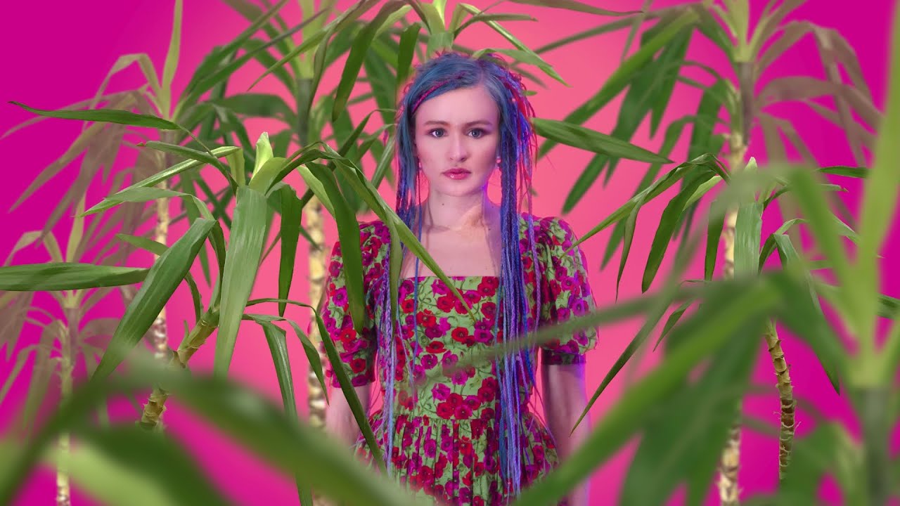 Waterflower - Palm Vs Palm (Official Music Video)