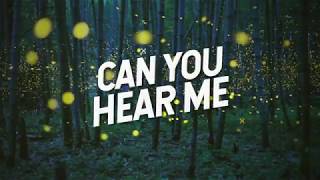 Mike Candys & Michel Truog - Fireflies (Official Lyric)