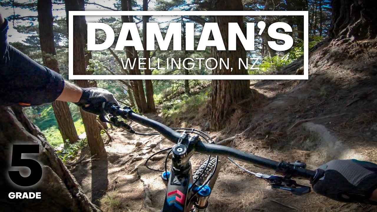 KING OF ROOTS - Damian's Mountain Bike Trail (Grade 5 - Expert) | Mt Victoria, Wellington